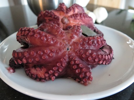 Pulpo